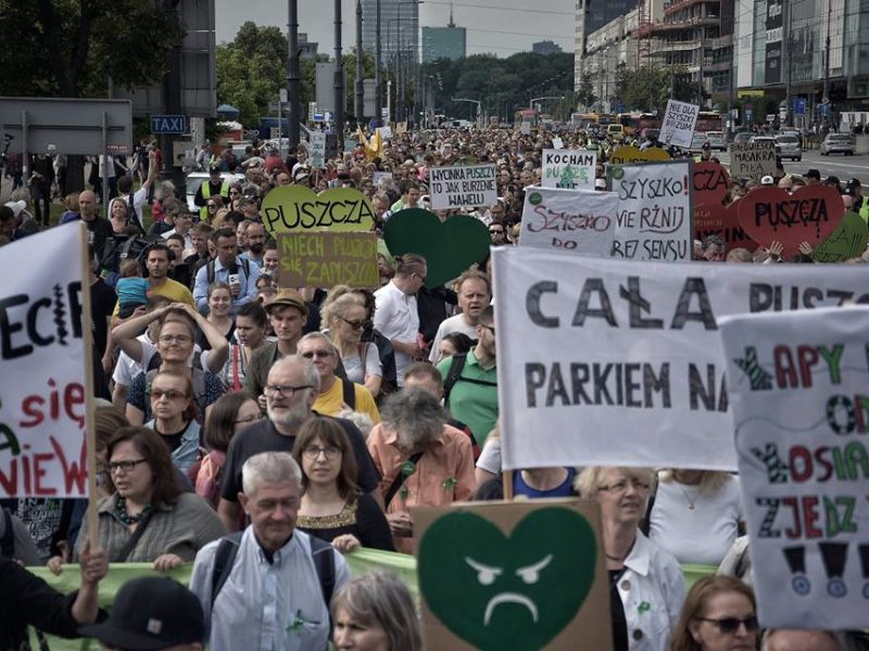 March for the Forest in Warsaw
