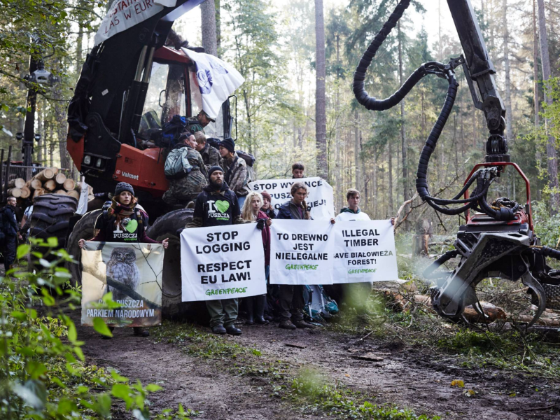 The biggest blockade in the Forest