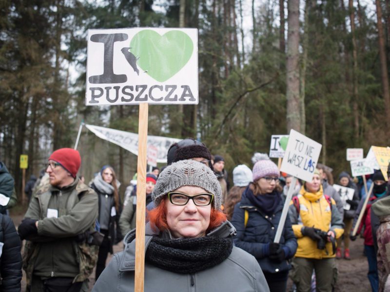 March for the Forest