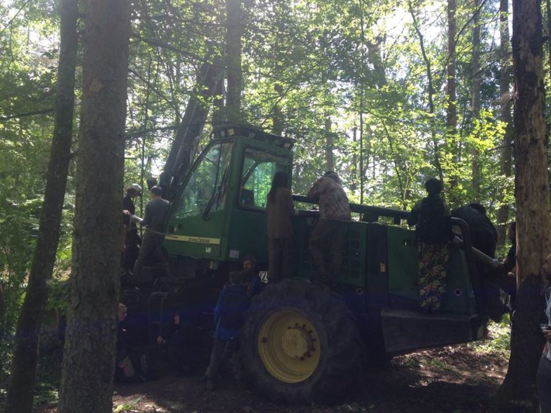 10th blockade in the Bialowieza Forest District