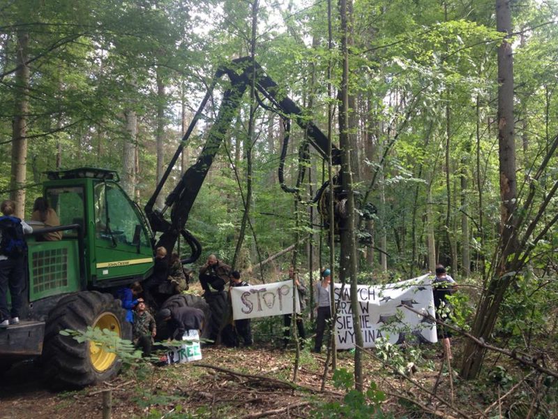 10th blockade – violent forest guards and the harvester’s engine on