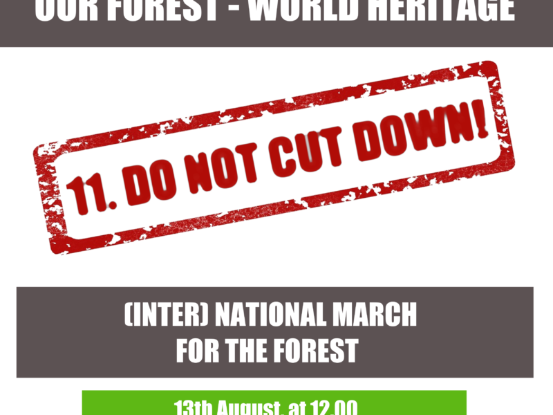 Come to the Forest on 13th of August! Help us defend World Heritage!
