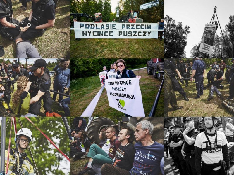 Activists found innocent by the court in Hajnówka